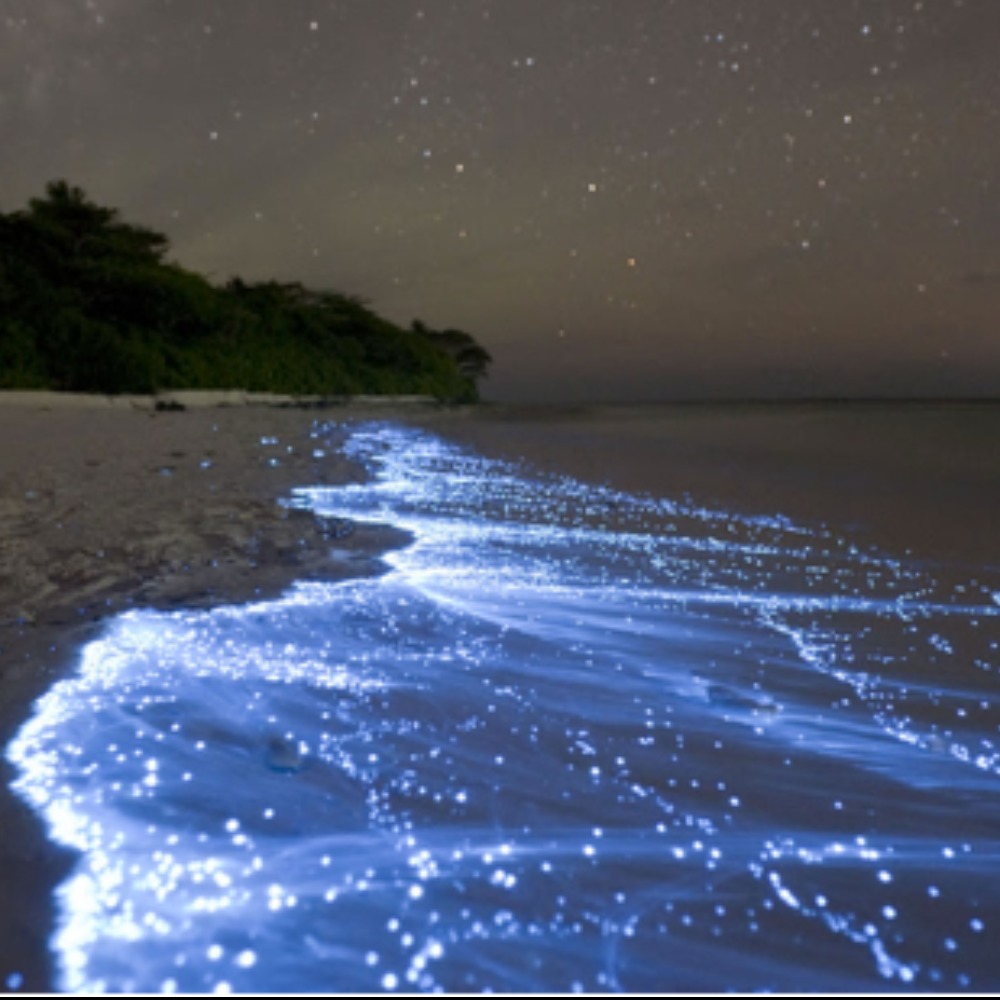 Meet your Posher, Helen